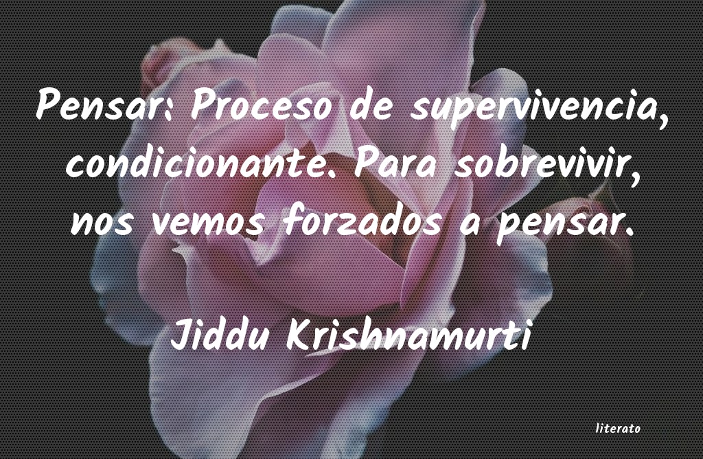 Frases de Jiddu Krishnamurti