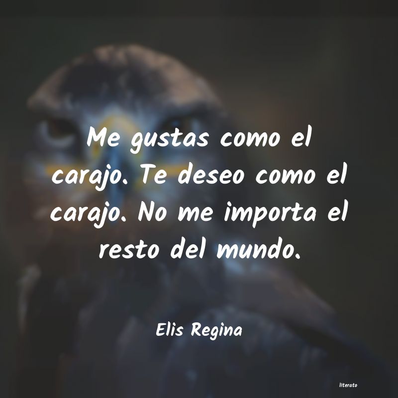 frases de Elis Regina