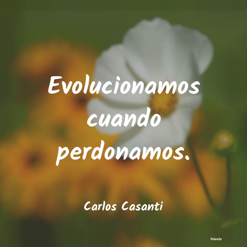 Frases de Carlos Casanti