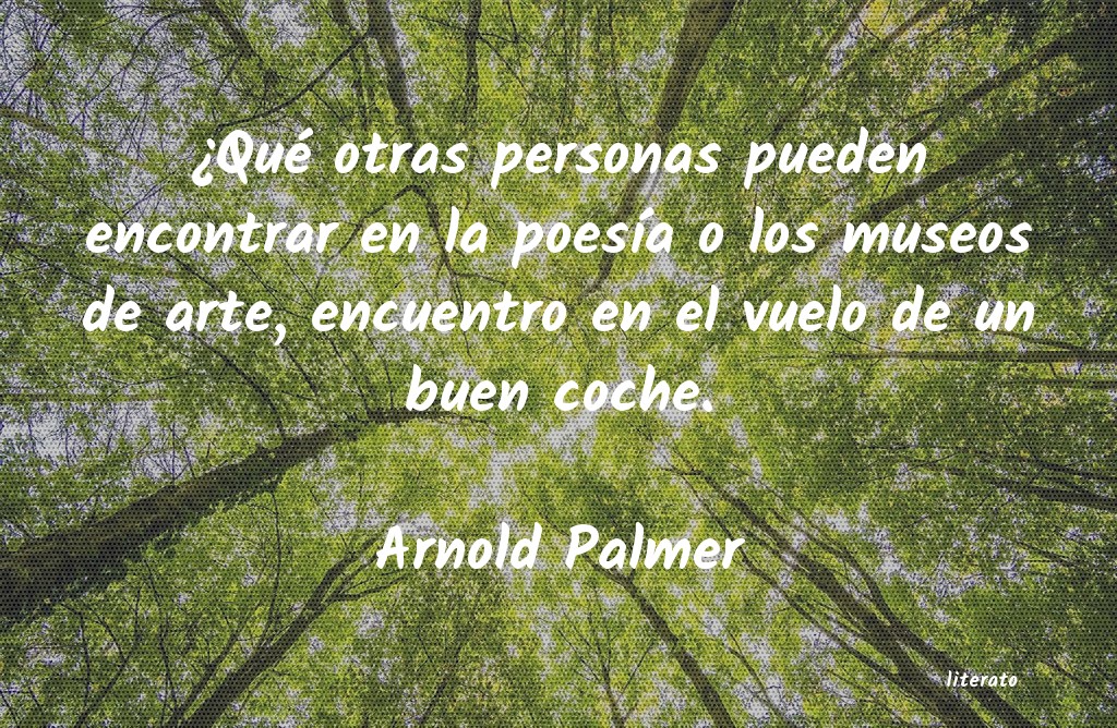 Frases de Arnold Palmer