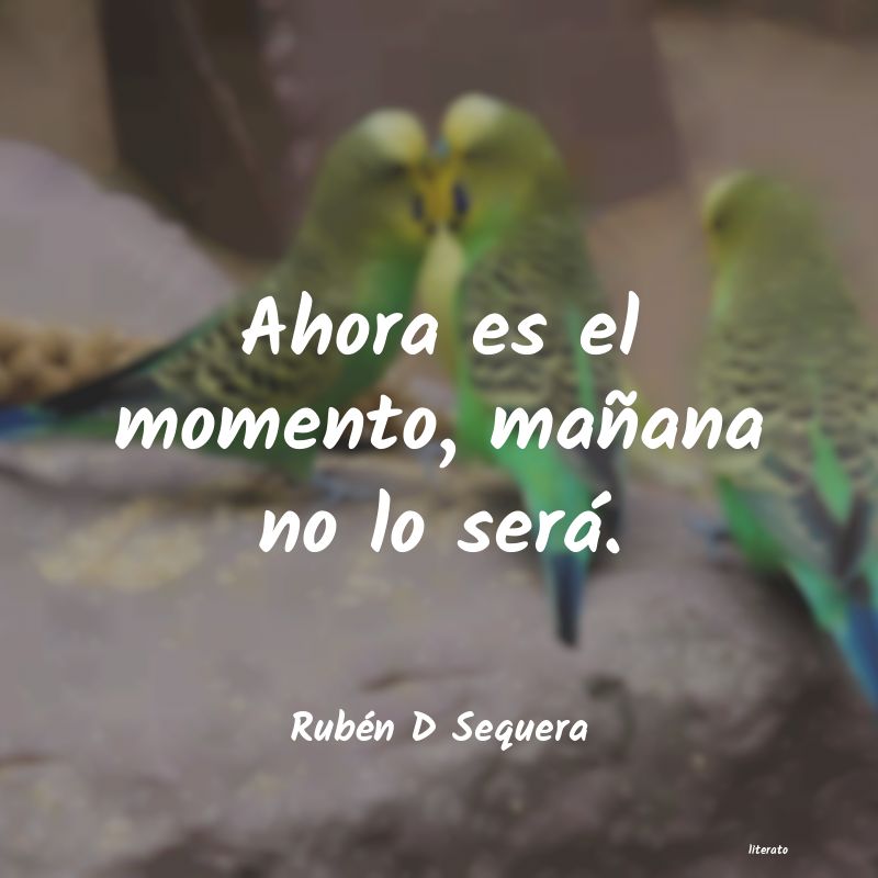 frases de Rubén D Sequera