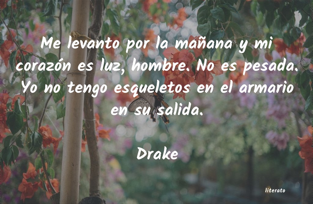 Frases de Drake