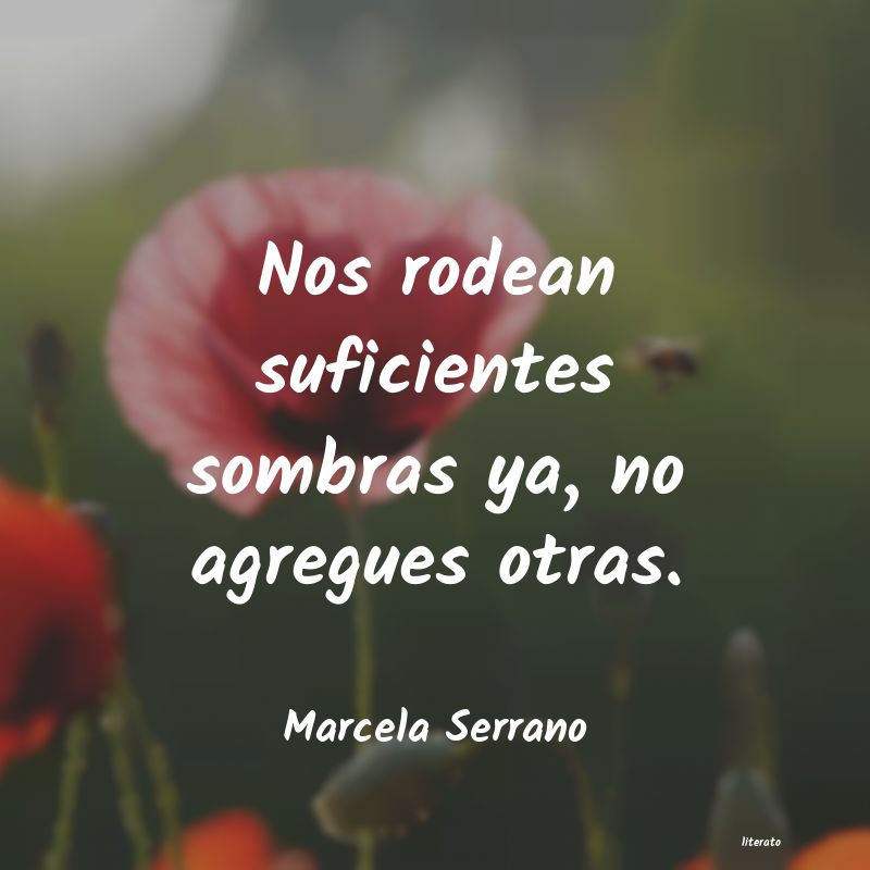 Frases de Marcela Serrano