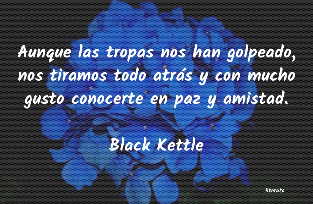 Frases de Black Kettle