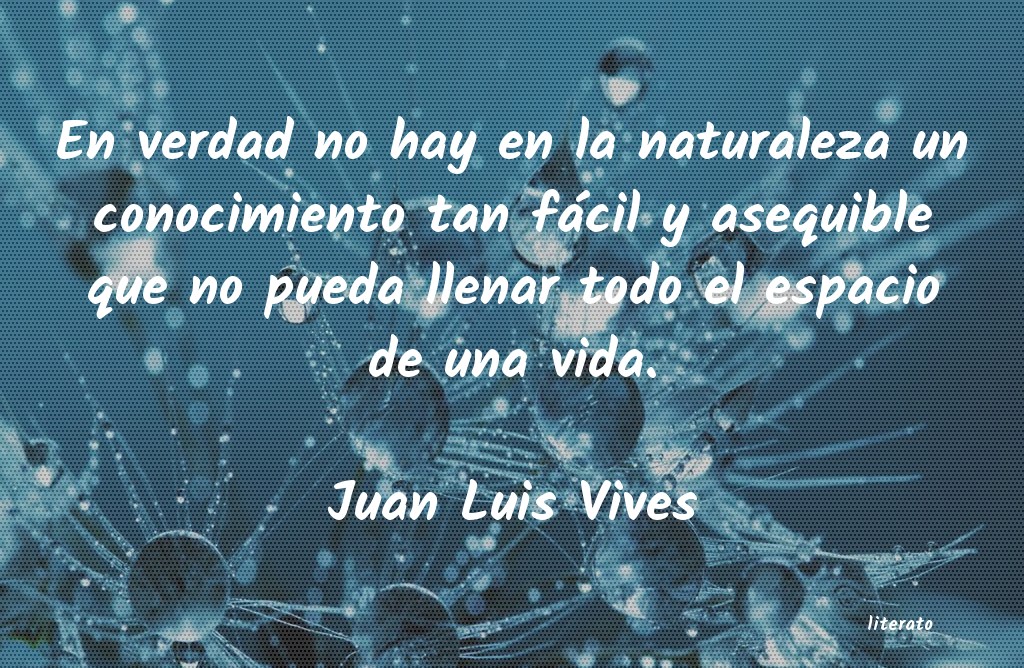 imagen de juan luis vives