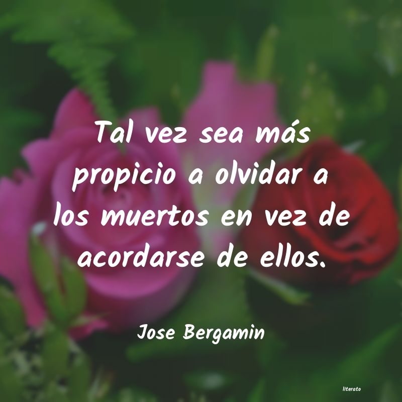 frases de Jose Bergamin