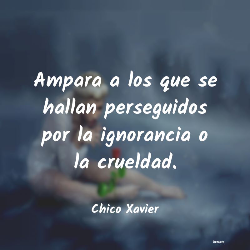 Frases de Chico Xavier