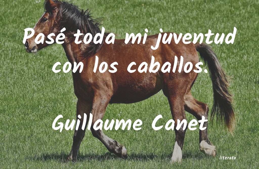 Frases de Guillaume Canet