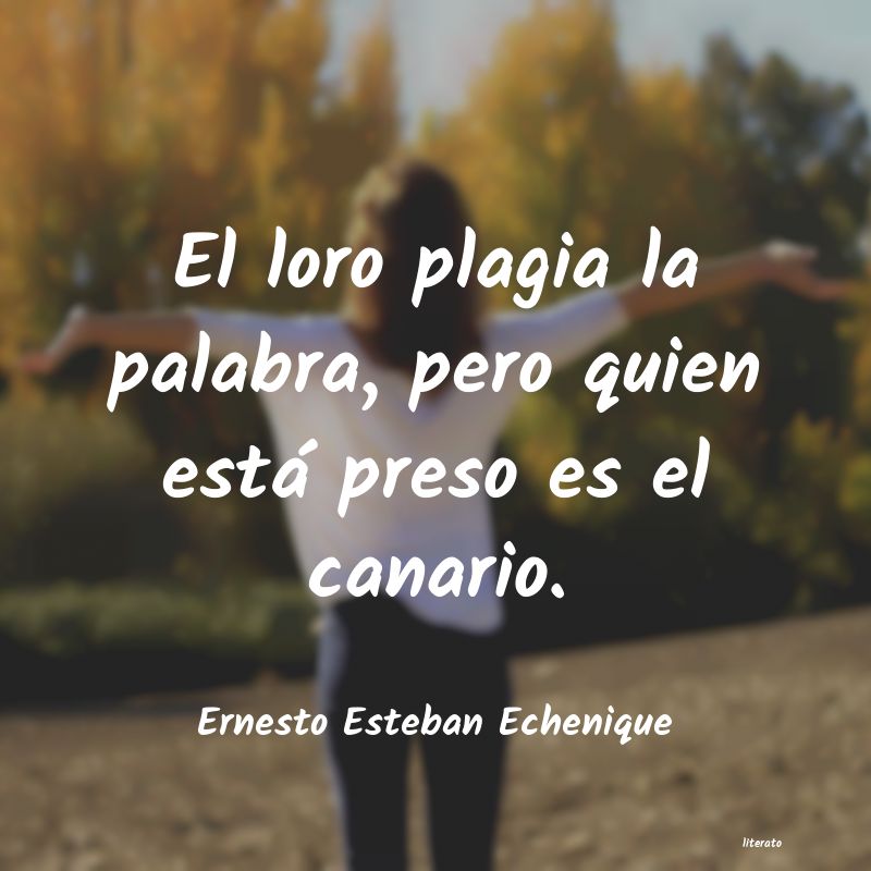 frases de Ernesto Esteban Echenique