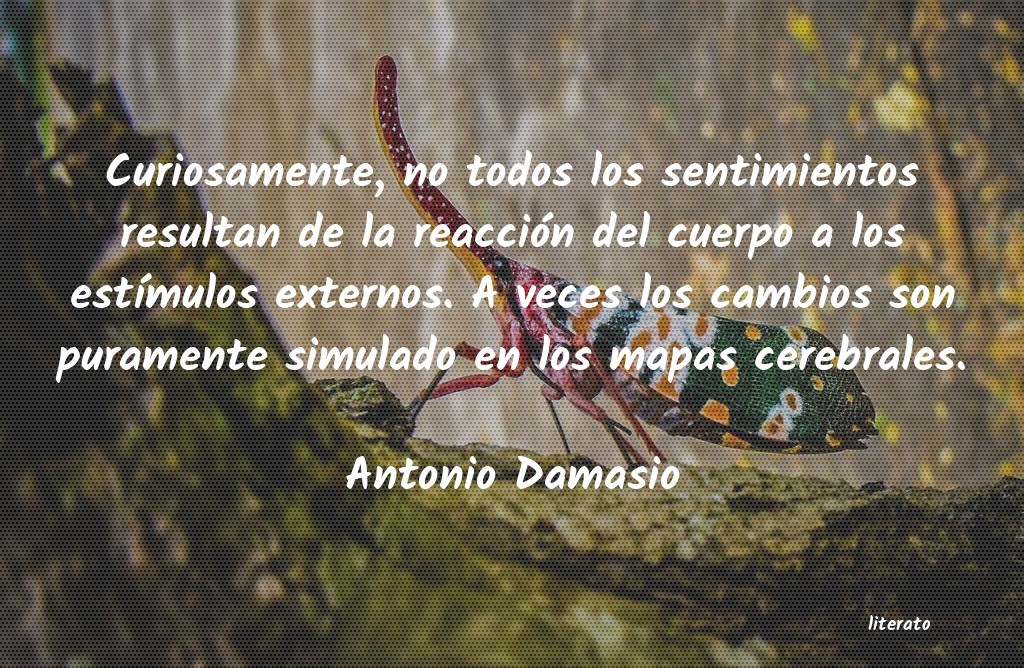 frases de Antonio Damasio