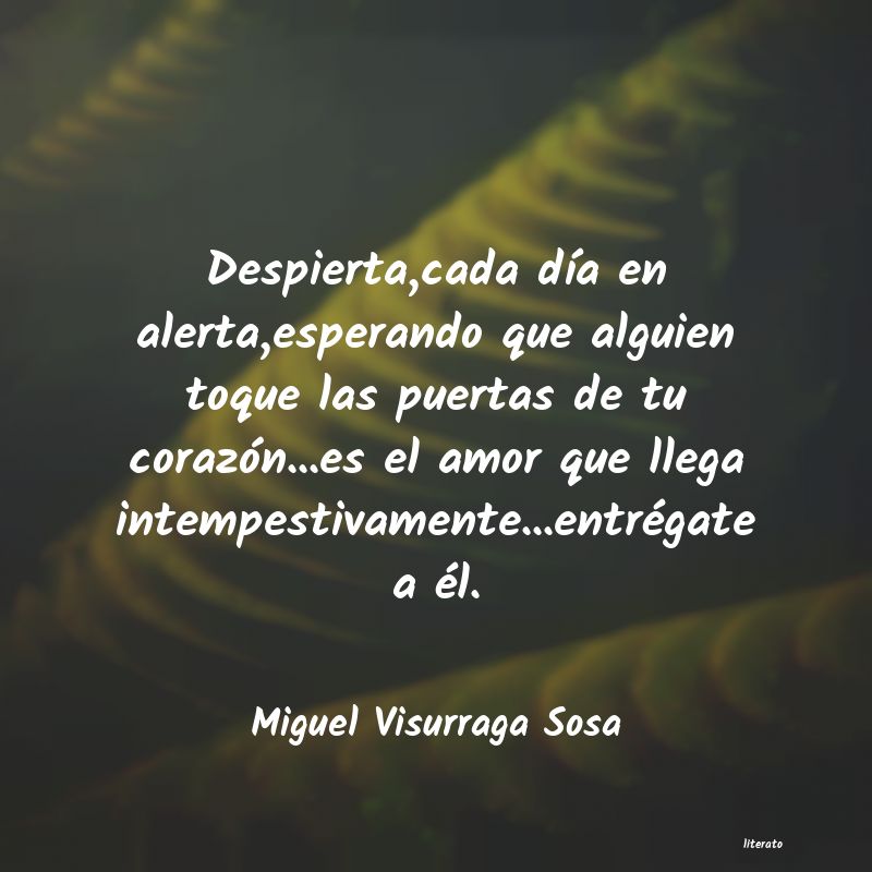 frases de Miguel Visurraga Sosa