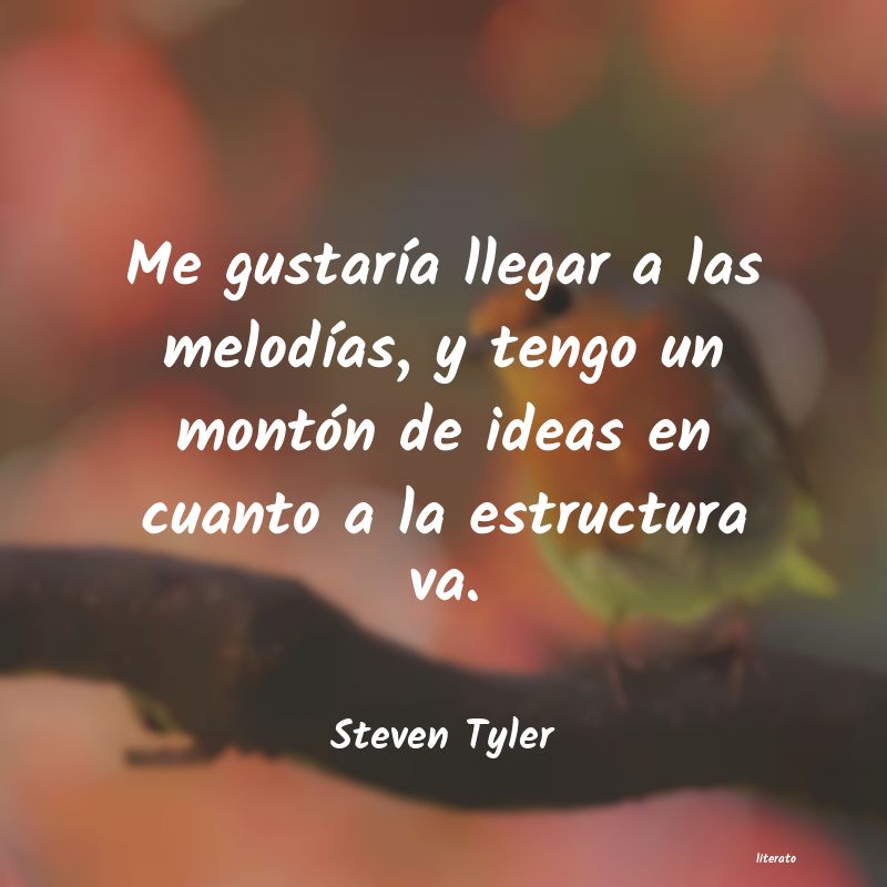 Frases de Steven Tyler