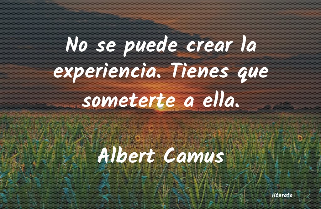 Frases de Albert Camus