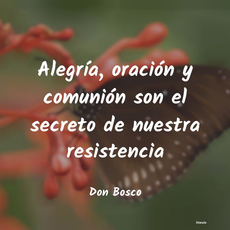 Frases de Don Bosco