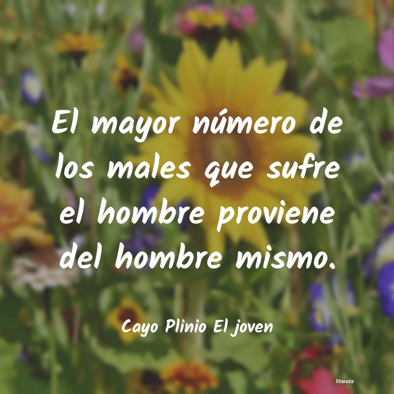 Frases de Cayo Plinio El joven