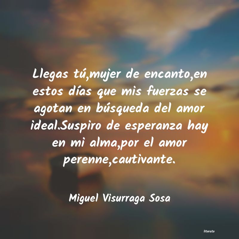 frases de Miguel Visurraga Sosa