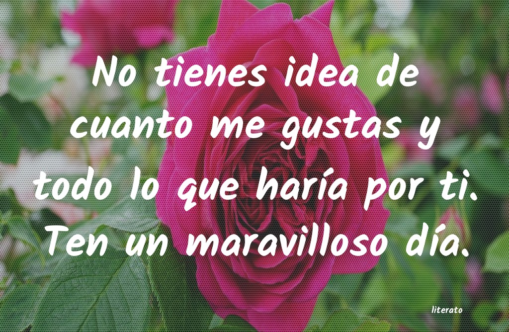 frases