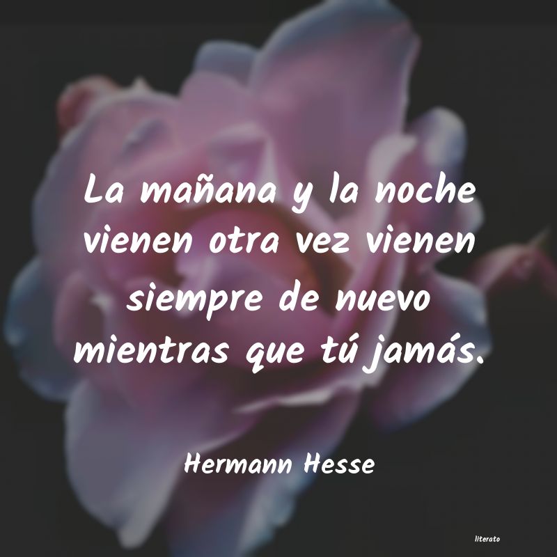 Frases de Hermann Hesse