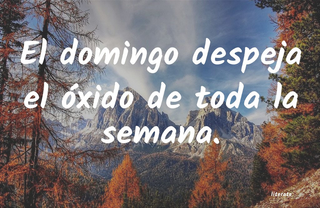 frases