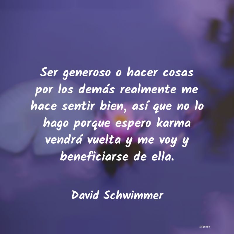 Frases de David Schwimmer