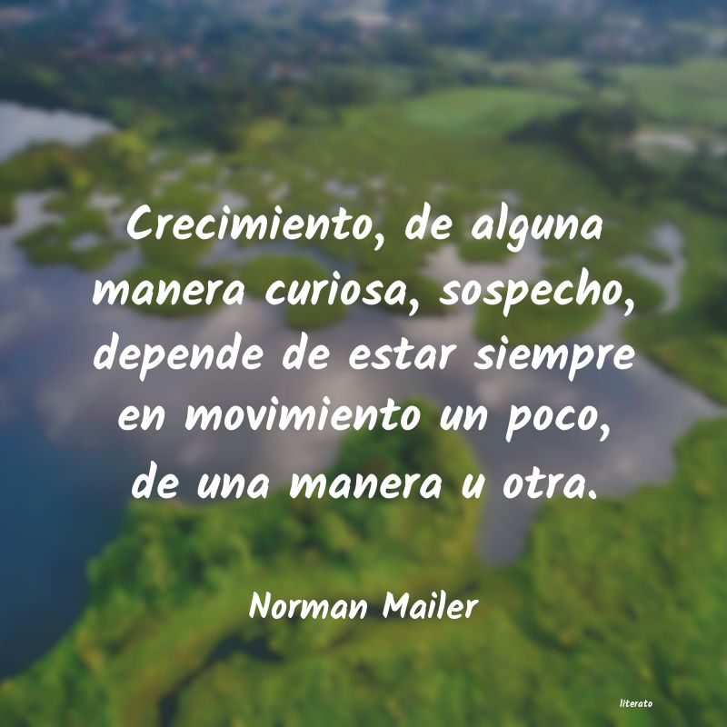 frases de Norman Mailer