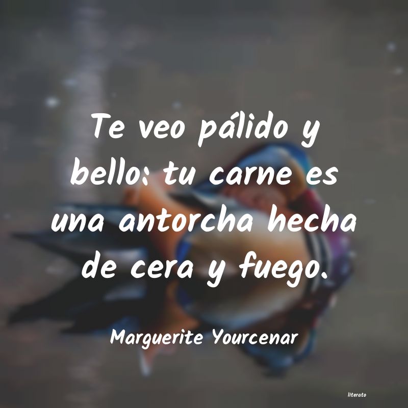 marguerite yourcenar fuego