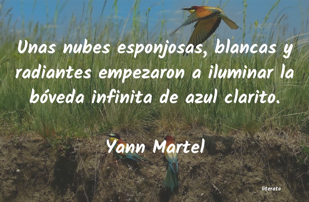 Frases de Yann Martel