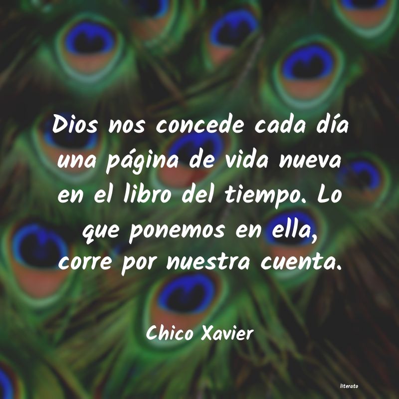 Frases de Chico Xavier