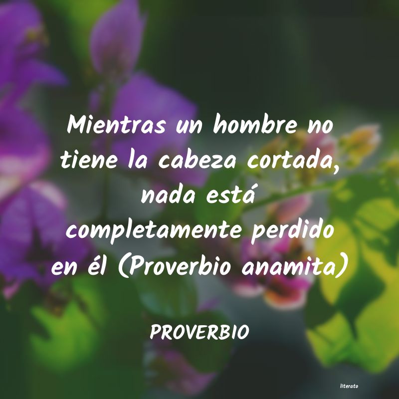 Frases de PROVERBIO