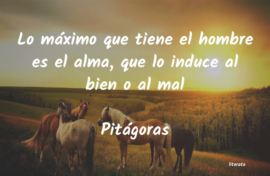 maximo