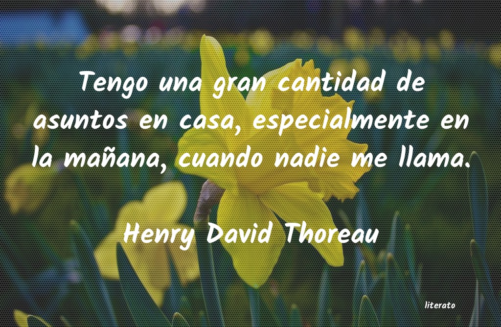 frases de Henry David Thoreau