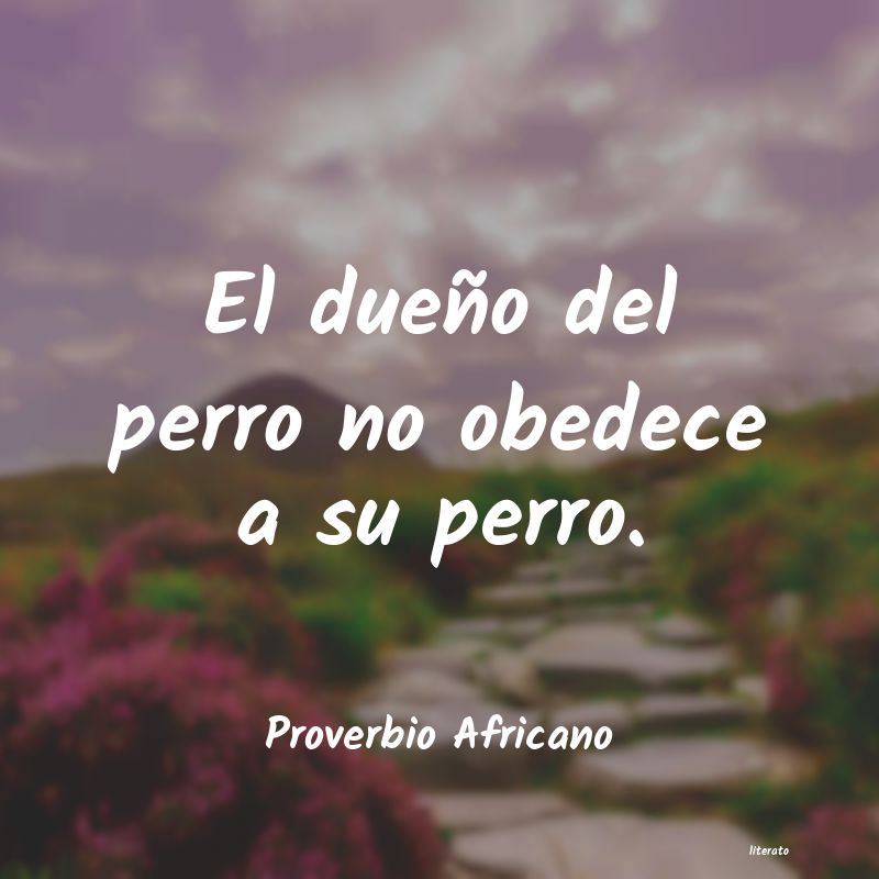 Frases de Proverbio Africano