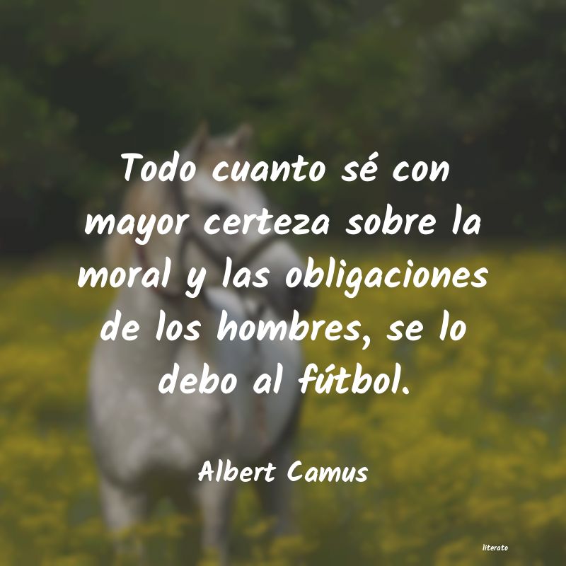 Frases de Albert Camus