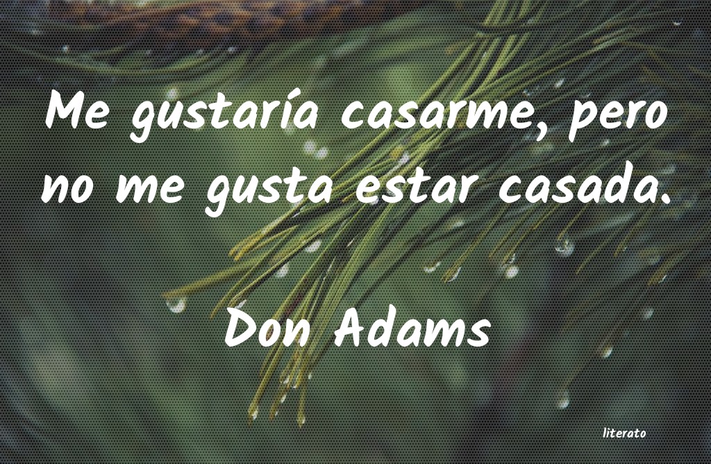 Frases de Don Adams