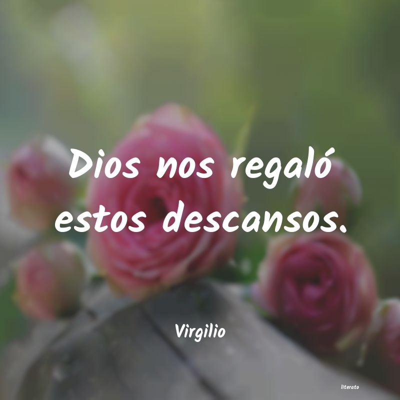 Frases de Virgilio