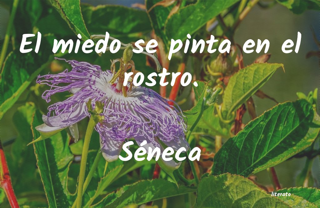 Frases de Séneca