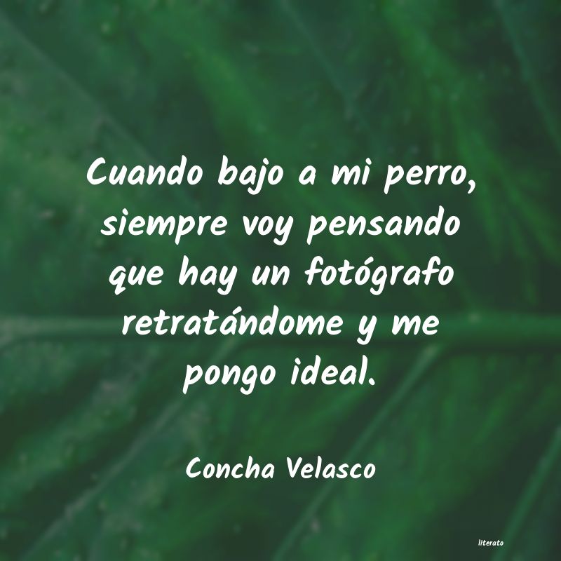 Frases de Concha Velasco