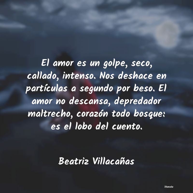 Frases de Beatriz Villacañas