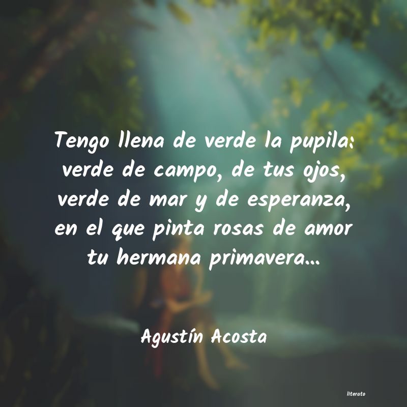 frases de AgustÃn Acosta