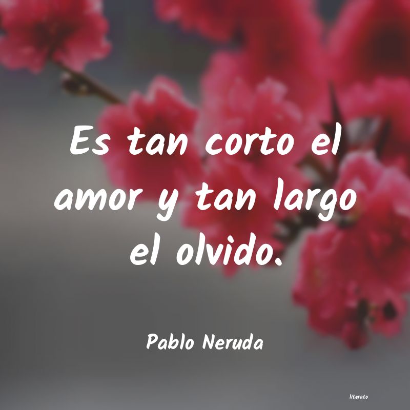 Frases de Pablo Neruda