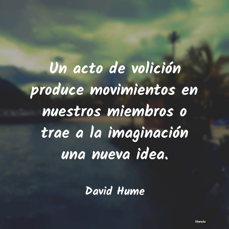 Frases de David Hume