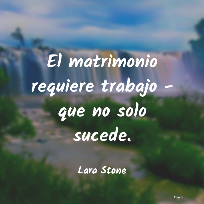 Frases de Lara Stone