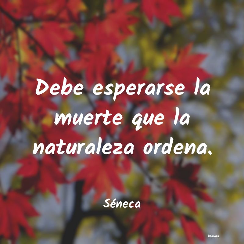 frases de Séneca