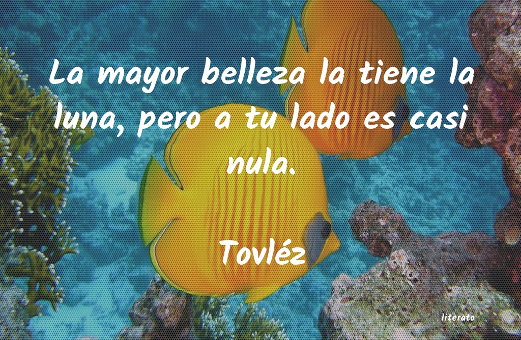 frases de Tovléz