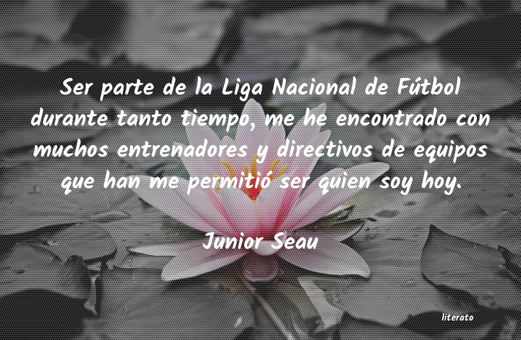 Frases de Junior Seau