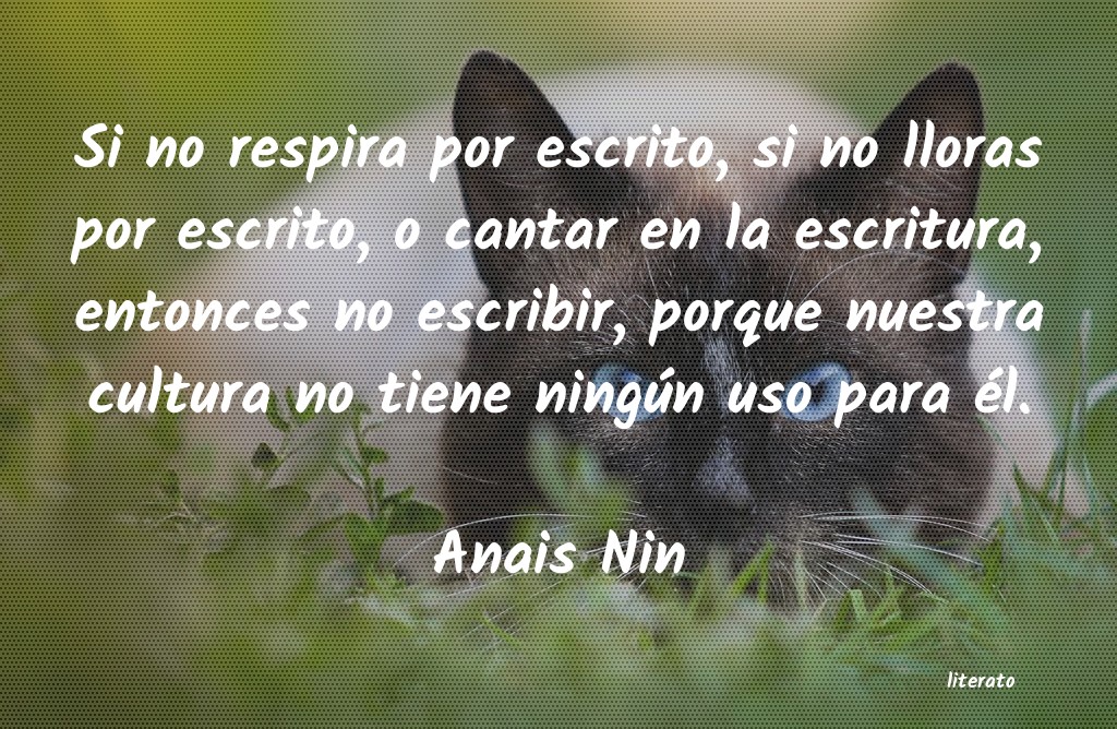 Frases de Anais Nin