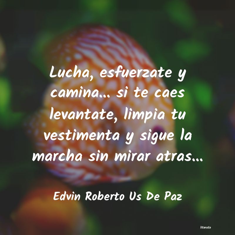 frases de Edvin Roberto Us De Paz