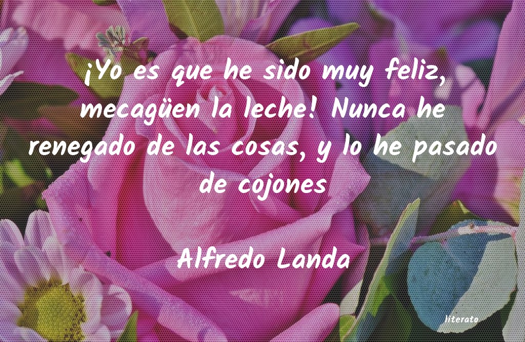 Frases de Alfredo Landa