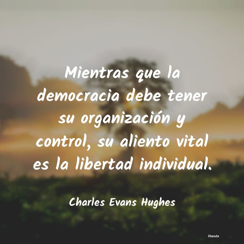 Frases de Charles Evans Hughes