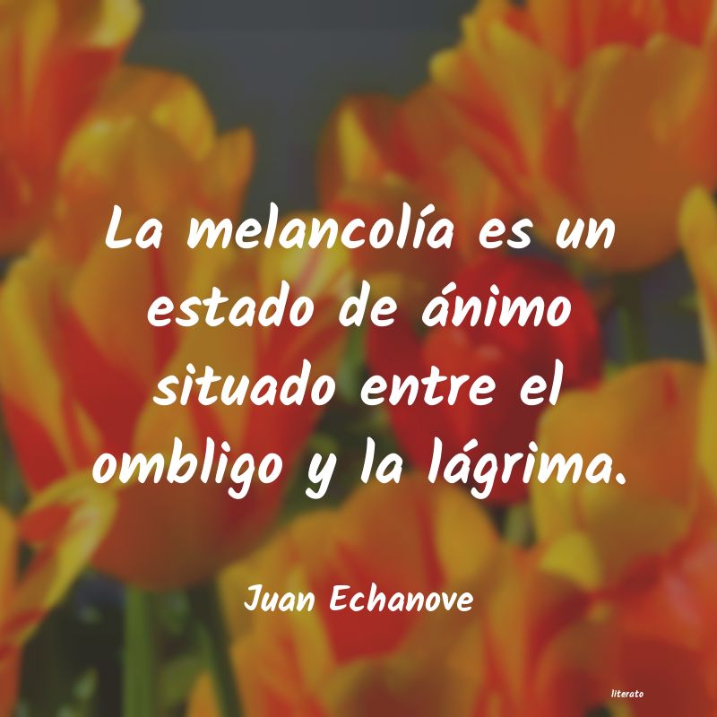 Frases de Juan Echanove